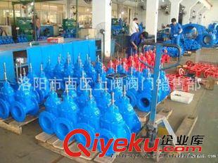 柳龍牌閘閥 大量低價供應(yīng)  RRHX(Z41X)明桿彈性座封閘閥 質(zhì)量保證原始圖片3