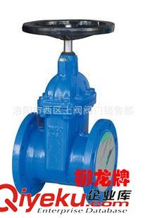 柳龍牌閘閥 精品供應(yīng) 廠價(jià)直銷 彈性座封閘閥Z/ZM45X-10/16Q(A.銅配件）原始圖片2