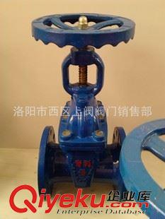 柳龍牌閘閥 供應(yīng)Z45X Z41X暗桿彈性座封閘閥供水閘閥 量大從優(yōu) 保用3年原始圖片2