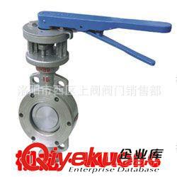 柳龍牌化工閥門 不銹鋼對夾式軟密封中線蝶閥D71X-16P原始圖片2