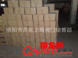 柳龍牌化工閥門 精品供應(yīng) 廠家直銷  襯氟渦輪對(duì)夾蝶閥  D71F46-10/16C原始圖片2