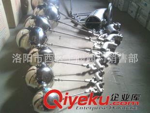 柳龍牌不銹鋼閥門 大量供應(yīng)DN15不銹鋼浮球閥原始圖片2