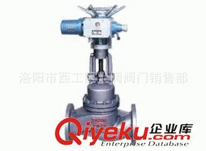 柳龍牌柱塞閥 供應(yīng)電動法蘭截止型柱塞閥UJ941H-16C原始圖片2