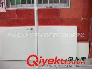 熱銷推薦 經銷批發   消防器材  高質量廚房單開防火門 入戶防火門原始圖片2