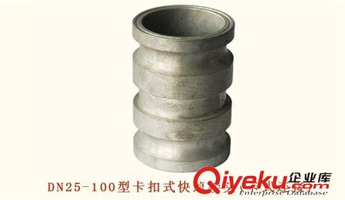 消防接口 批發供應DN25-100型卡扣式快速接頭(卡式連接)