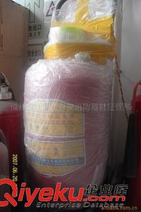 推車式滅火器系列 批發供應干粉滅火器推車  福州消防器材原始圖片2