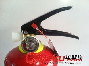 干粉滅火器 廠家直銷 MFZ/ABC2型手提式 2KG干粉滅火器原始圖片2