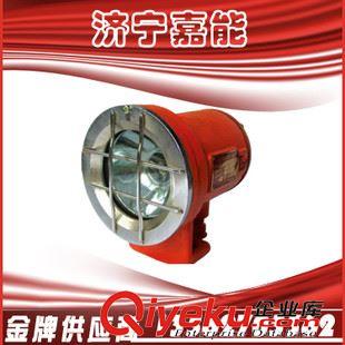 礦用電氣 嘉能生產(chǎn)礦用DGY9/24L（H）礦用信號(hào)燈，礦用LED信號(hào)燈原始圖片3