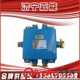 礦用電氣 嘉能供應(yīng) 防爆電器 BAX1(GX-1)隔爆型打點器 礦用隔爆打點器簡介