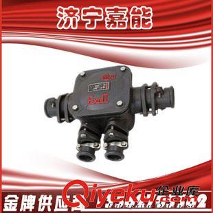 礦用電氣 嘉能防爆 專業(yè)生產(chǎn)BHD2系列礦用防爆低壓電纜接線盒,品質(zhì)保證原始圖片3