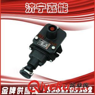 礦用電氣 嘉能防爆 BZA1-5/36-3防爆按鈕，控制按鈕，3相按鈕，3聯(lián)防爆按鈕原始圖片3