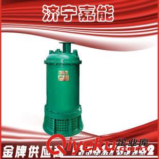 泵類  供應(yīng) BQW 防爆潛水泵 礦用排水電泵 山東濟(jì)寧嘉能推薦BQW潛水泵