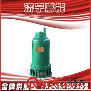 泵類  供應(yīng) BQW 防爆潛水泵 礦用排水電泵 山東濟(jì)寧嘉能推薦BQW潛水泵