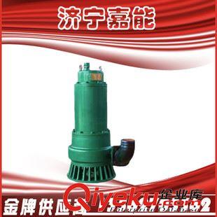 泵類  供應 BQS25-15 防爆潛水泵 大量現貨3kw  礦用 BQS潛水電動泵原始圖片2