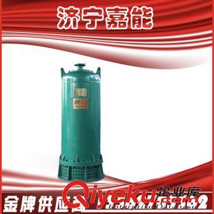 泵類  供應 BQS25-15 防爆潛水泵 大量現貨3kw  礦用 BQS潛水電動泵原始圖片3