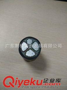 鋁芯電力電纜 直營(yíng)優(yōu)質(zhì)鋁芯電纜 YJLV鋁芯電纜3*95+1*50品質(zhì)保證