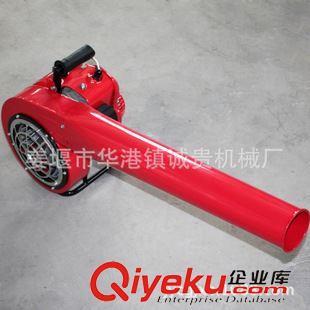 54風(fēng)力滅火機(jī) 廠家專(zhuān)業(yè)生產(chǎn)風(fēng)力滅火機(jī).誠(chéng)貴牌手提式大功率風(fēng)力滅火機(jī)批發(fā)零售