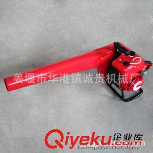 54風(fēng)力滅火機(jī) 廠家專(zhuān)業(yè)生產(chǎn)風(fēng)力滅火機(jī).誠(chéng)貴牌手提式大功率風(fēng)力滅火機(jī)批發(fā)零售原始圖片2