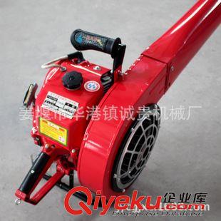 54風(fēng)力滅火機(jī) 廠家專(zhuān)業(yè)生產(chǎn)風(fēng)力滅火機(jī).誠(chéng)貴牌手提式大功率風(fēng)力滅火機(jī)批發(fā)零售原始圖片3