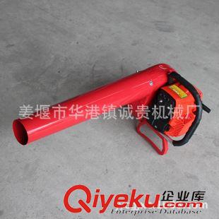 580便攜式滅火機(jī) 廠家專業(yè)生產(chǎn)風(fēng)力滅火機(jī).多功能大功率便攜式風(fēng)力滅火機(jī)批發(fā)零售原始圖片2