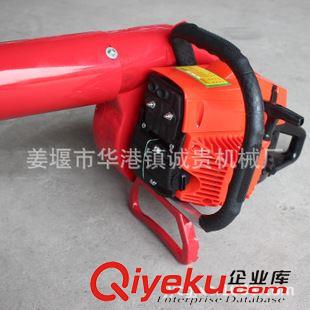 580便攜式滅火機(jī) 廠家專業(yè)生產(chǎn)風(fēng)力滅火機(jī).多功能大功率便攜式風(fēng)力滅火機(jī)批發(fā)零售原始圖片3