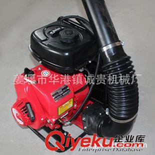 898背負(fù)式滅火機(jī) 廠家直銷(xiāo)風(fēng)力滅火機(jī) 圓筒伸縮桶風(fēng)力滅火機(jī) 背負(fù)式消防風(fēng)力滅火器