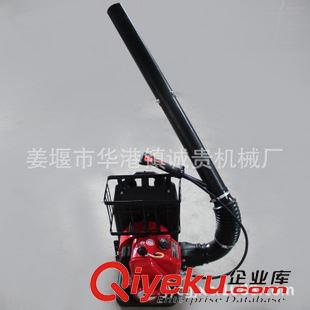 898背負(fù)式滅火機(jī)（油箱在底部） 廠家直銷 批發(fā)供應(yīng) 風(fēng)力滅火機(jī)，背負(fù)式風(fēng)力滅火器 消防器材