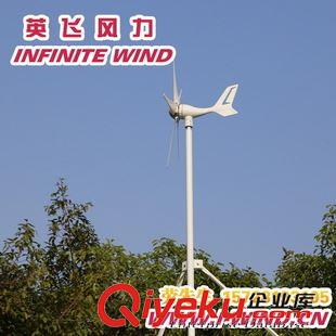 MINI 5 風(fēng)力發(fā)電機(jī) 300W 24V低速風(fēng)力發(fā)電機(jī)電機(jī)_低速風(fēng)力發(fā)電機(jī)廠家-廣州英飛風(fēng)力原始圖片2
