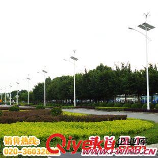  风光互补路灯 新疆30-100W 12V/24V 太阳能风光互补路灯生产商-英飞风力