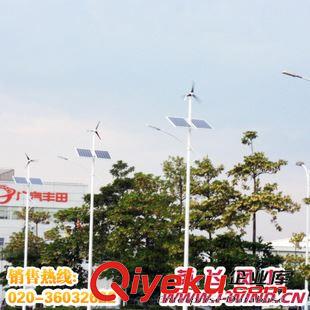  风光互补路灯 50W LED太阳能风光互补路灯系统_50W 12V led风光互补路灯厂家