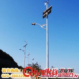  风光互补路灯 12V 30W LED风光互补路灯系统