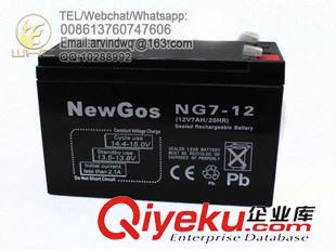 12V12AH Newgos  12V12AH免維護太陽能電池 鉛酸電池 UPS電池