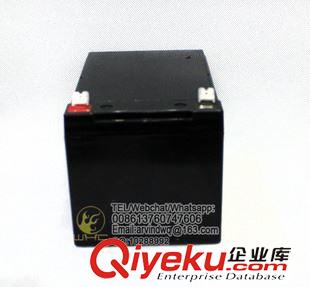 12V12AH Newgos  12V12AH免維護太陽能電池 鉛酸電池 UPS電池