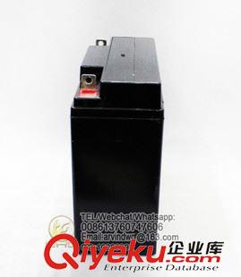 12V17AH Newgos  12V17AH免維護太陽能電池 鉛酸電池 UPS電池