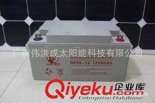 12V65AH WHC 12V65AH免維護(hù)太陽能電池 鉛酸電池 UPS電池