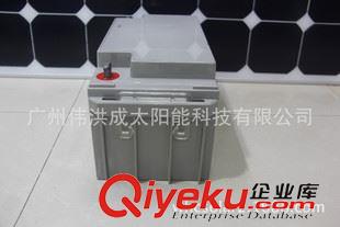 12V65AH WHC 12V65AH免維護(hù)太陽能電池 鉛酸電池 UPS電池