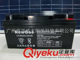 12V65AH NEWGOS 12V65AH免維護(hù)太陽能電池 鉛酸電池 UPS電池原始圖片2