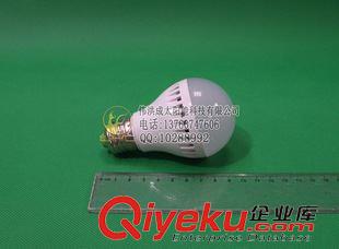 DC12V球泡灯 直流 E27螺口 12V3W5W7W9W12W LED DC 直流 塑料球泡灯 中性外包装