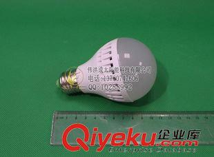 DC12V球泡灯 直流 E27螺口 12V3W5W7W9W12W LED DC 直流 塑料球泡灯 中性外包装