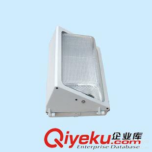 隧道燈 70W-400W高壓鈉燈隧道燈 公路隧道燈具 地鐵隧道燈 三防隧道燈原始圖片2