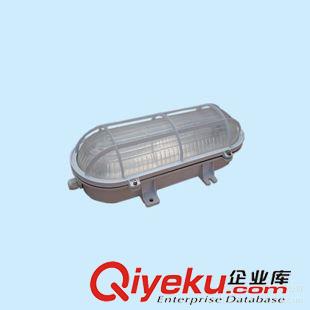 隧道燈 70W-400W高壓鈉燈隧道燈 公路隧道燈具 地鐵隧道燈 三防隧道燈原始圖片3