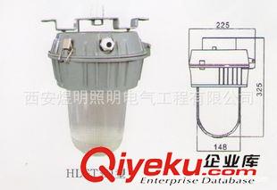 投光燈系列 發(fā)電廠/鋼廠/煤礦專(zhuān)用燈  工礦燈  大功率工礦燈 陜西工礦燈廠家