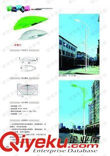 未分类 延安/榆林/汉中/安康/道路灯 厂家热卖 6米30W（LED）或150W