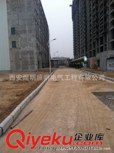 未分类 西安路灯厂/路灯、道路灯tj供应