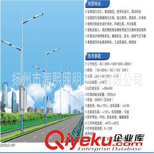 LED  L雙臂路燈系列 道路照明小區(qū)照明 一體化太陽(yáng)能路燈 30額定功率照明 節(jié)能環(huán)保原始圖片3