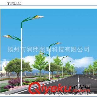 LED  T雙臂路燈系列 廠家直銷雙臂道路路燈單臂道路路燈可斜倒桿太陽能led路燈可定制