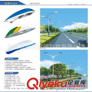 LED  T雙臂路燈系列 廠家直銷雙臂道路路燈單臂道路路燈可斜倒桿太陽能led路燈可定制