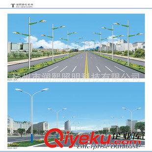 LED  T雙臂路燈系列 廠家直銷雙臂道路路燈單臂道路路燈可斜倒桿太陽能led路燈可定制