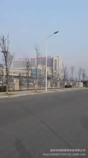 LED  T雙臂路燈系列 5-12米led道路照明燈 潤(rùn)熙專(zhuān)業(yè)單臂雙臂led路燈廠(chǎng)家 提供各種路燈原始圖片2