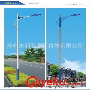 LED  S單臂路燈系列 廠家直銷 單臂道路路燈 多款太陽能led路燈 各類led路燈外殼 多款